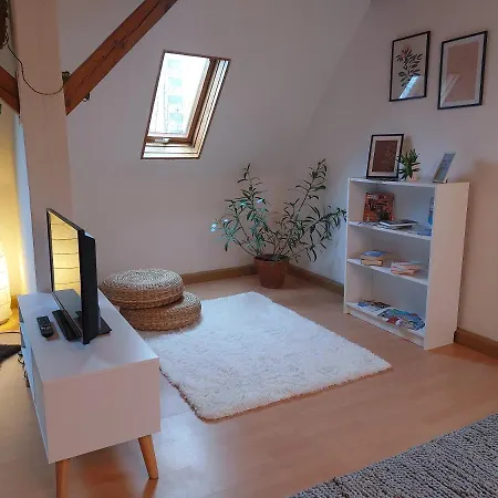 Ferienwohnung am Salzsee Bad Windsheim Exterior foto